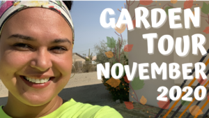 November 2020 Garden Tour!