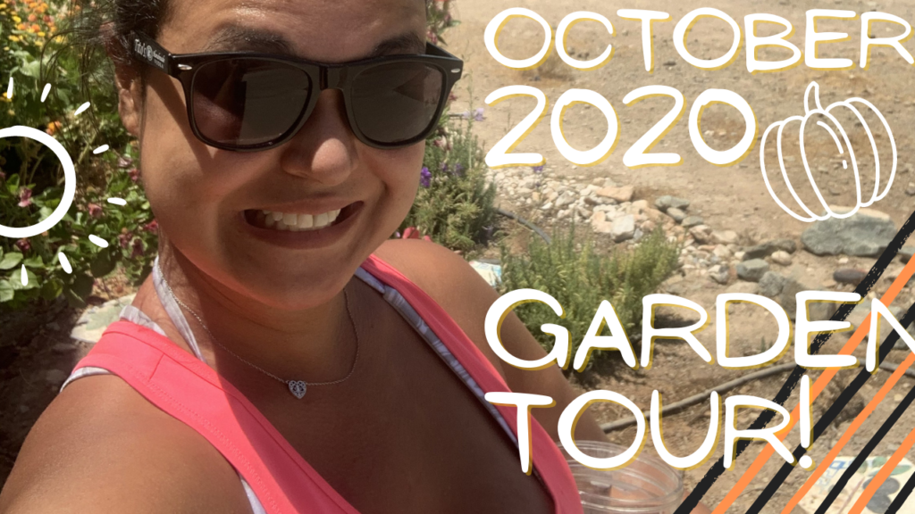 October 2020 Garden Tour!