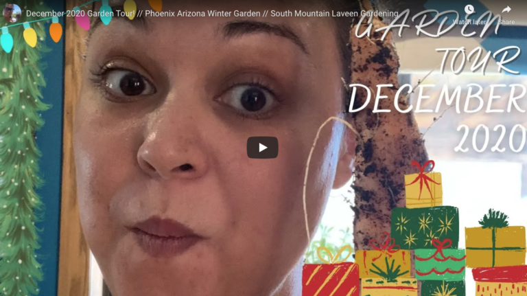 December 2020 Garden Tour!