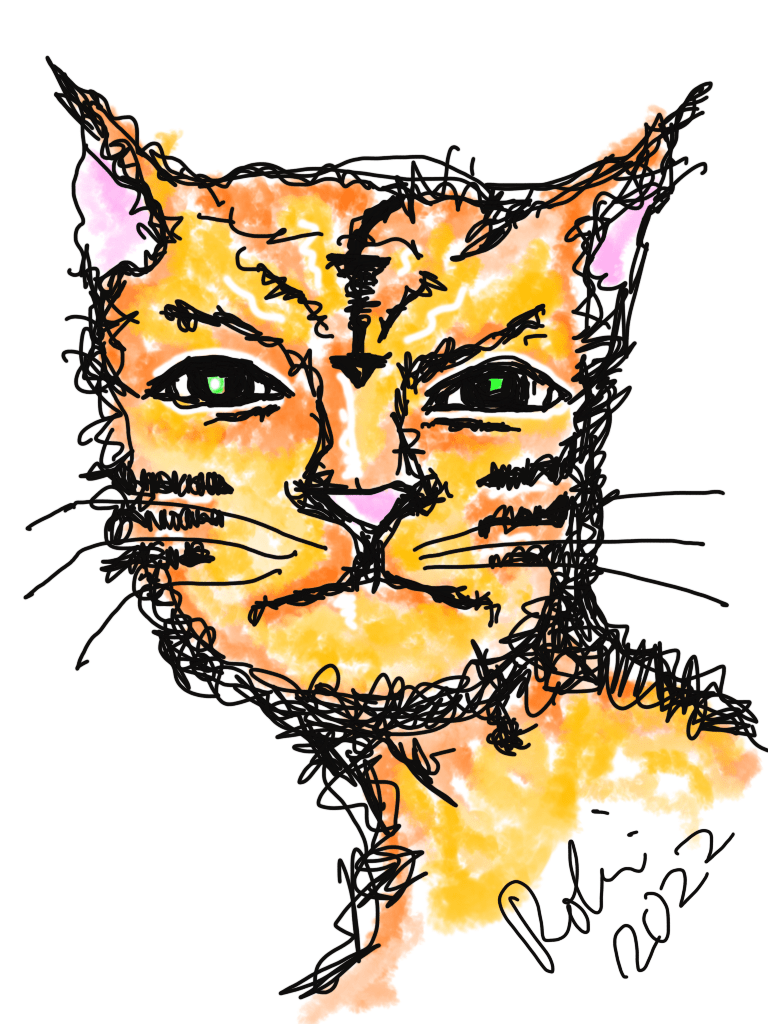 yellow orange cat littlr toughie